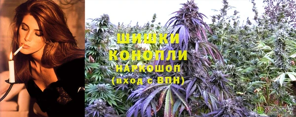 гидропоника Нязепетровск