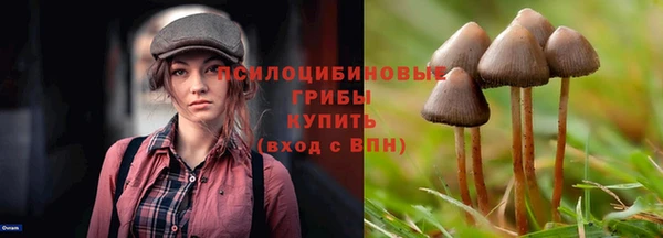 ешки Гусь-Хрустальный
