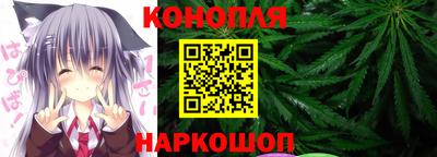 сатива Можга
