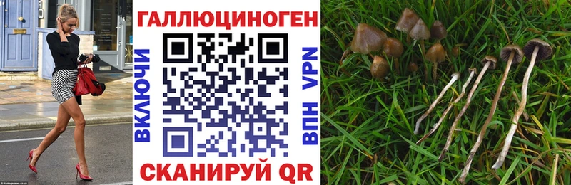 Галлюциногенные грибы GOLDEN TEACHER  hydra онион  Одинцово  наркотики 