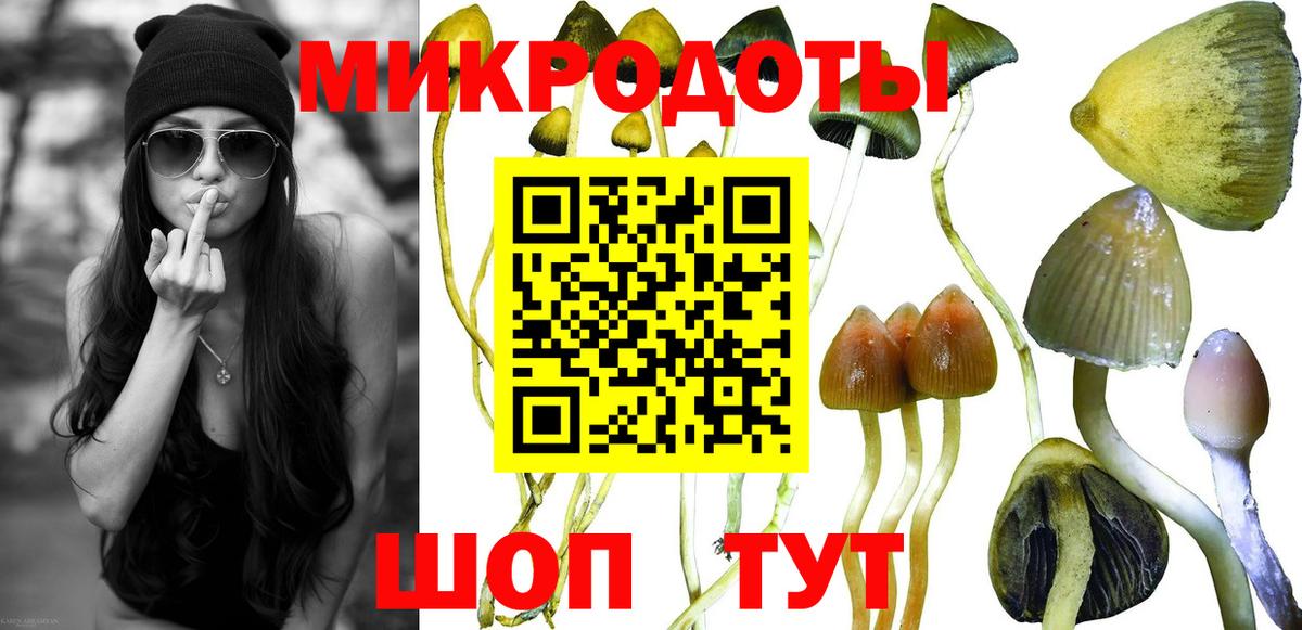 Галлюциногенные грибы GOLDEN TEACHER Одинцово